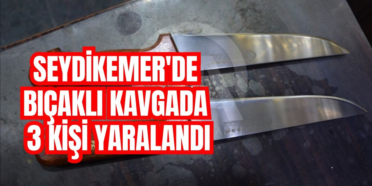 Seydikemer'de bıçaklı kavgada 3 kişi yaralandı