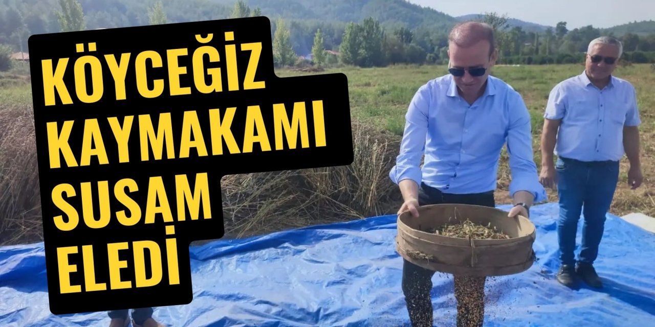 Köyceğiz Kaymakamı susam eledi