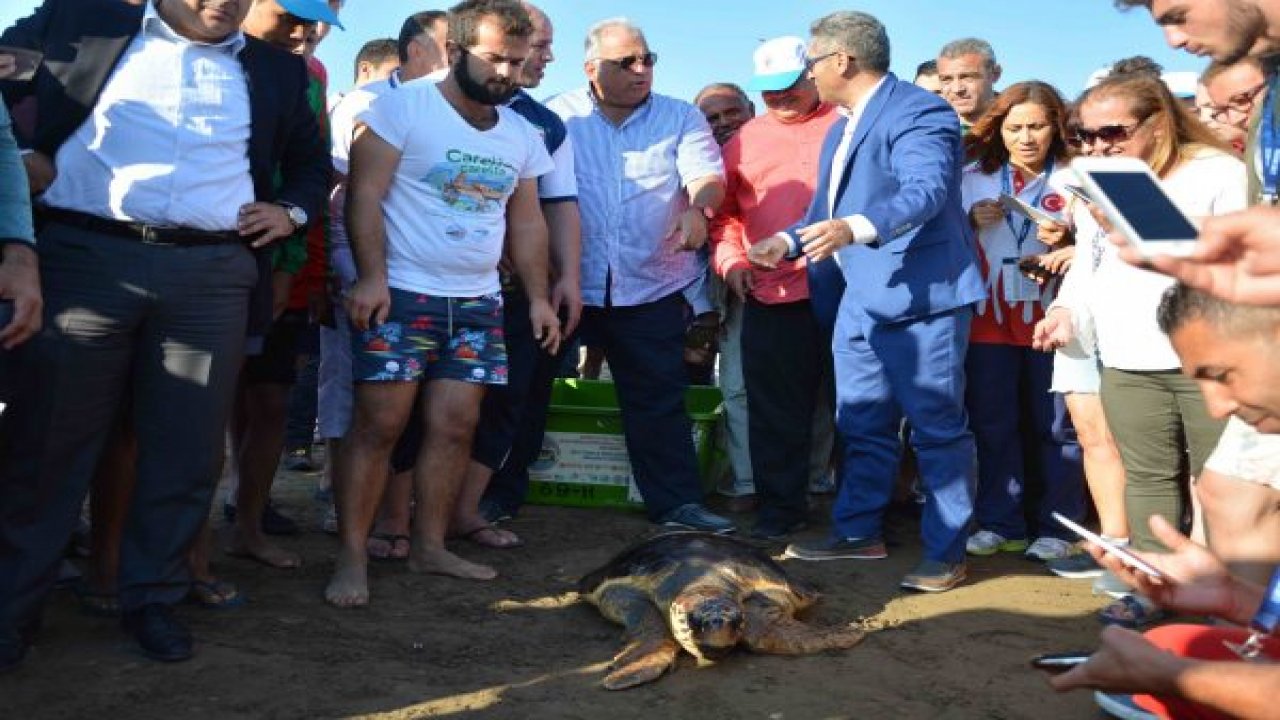 Caretta Caretta denize bırakıldı