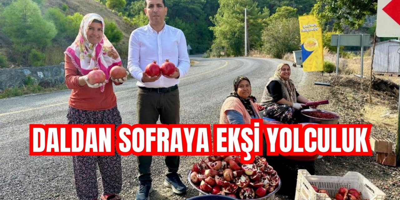 Daldan sofraya ekşi yolculuk