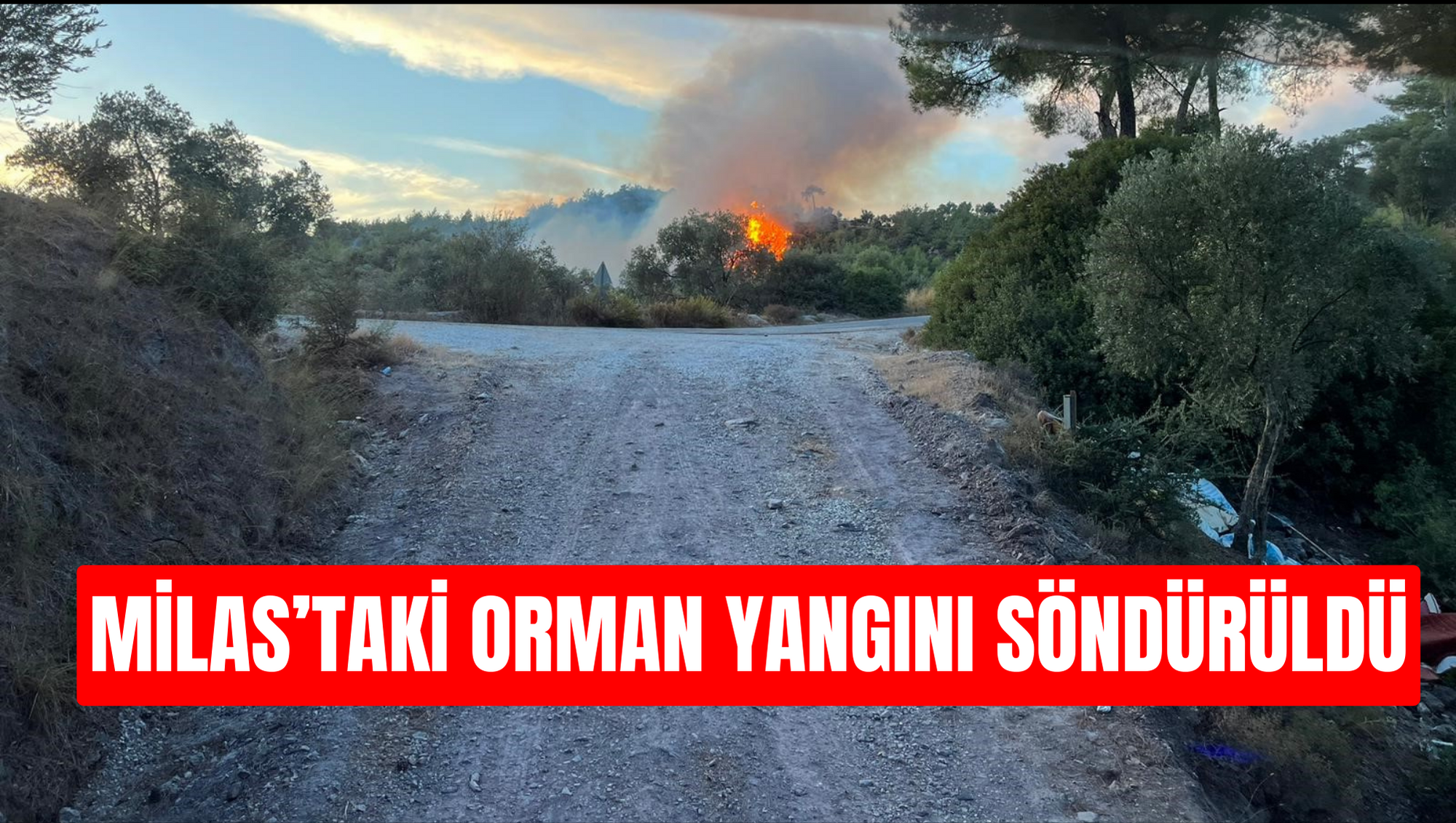 Milas’taki orman yangını söndürüldü