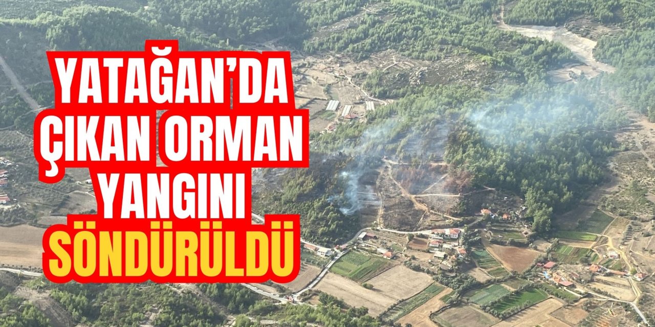 Yatağan’da çıkan orman yangını söndürüldü