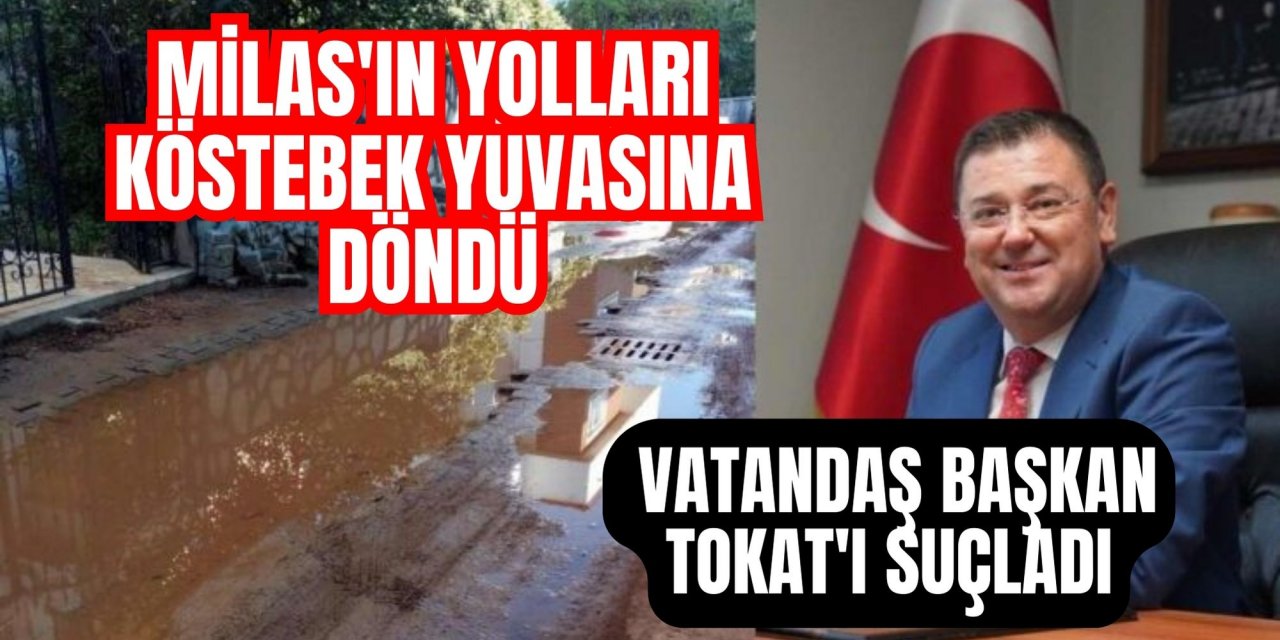 Milas'ın yolları köstebek yuvasına döndü, vatandaş Başkan Tokat'ı suçladı