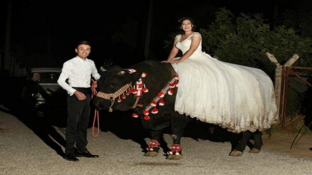 Böyle gelin aracı görülmedi