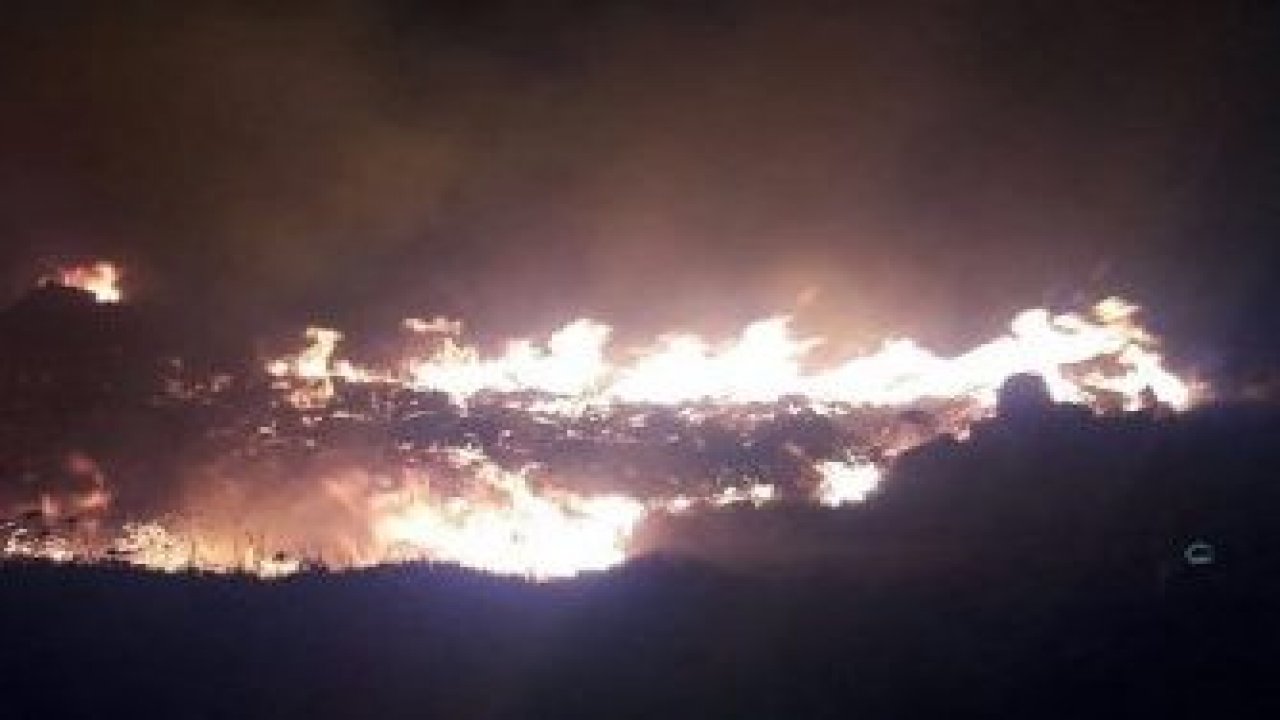 1 hektarlık alan kül oldu