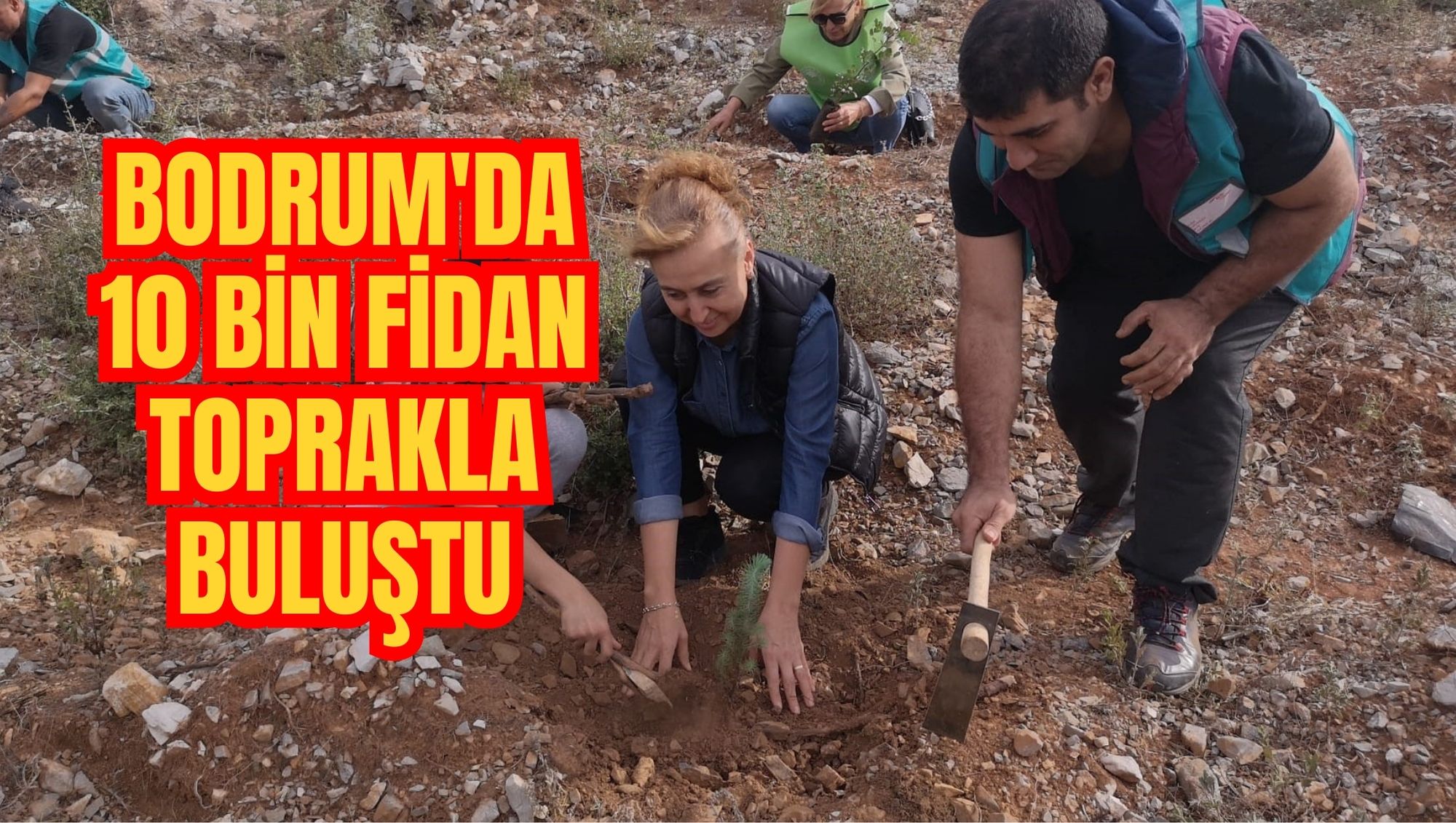 Bodrum'da 10 bin fidan toprakla buluştu