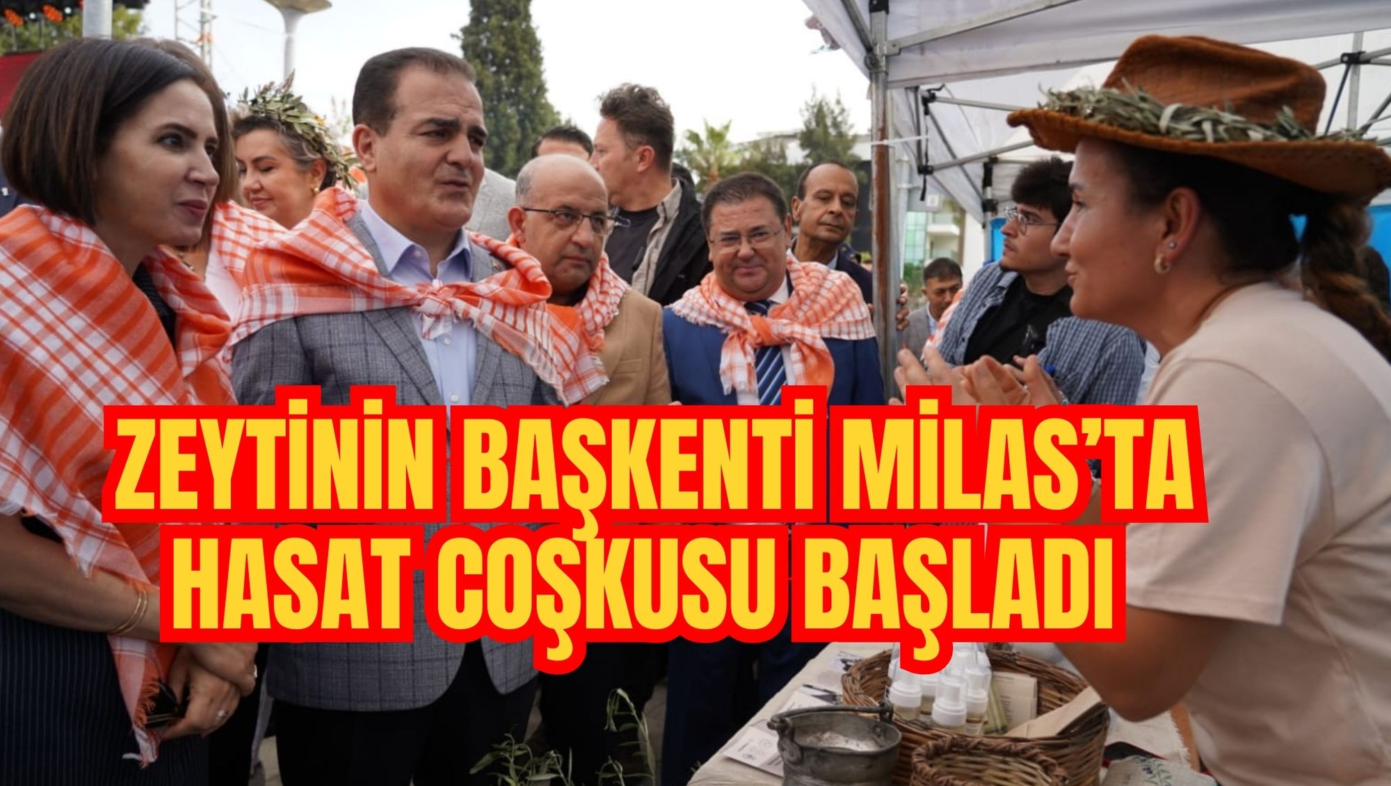 ZEYTİNİN BAŞKENTİ MİLAS’TA HASAT COŞKUSU BAŞLADI
