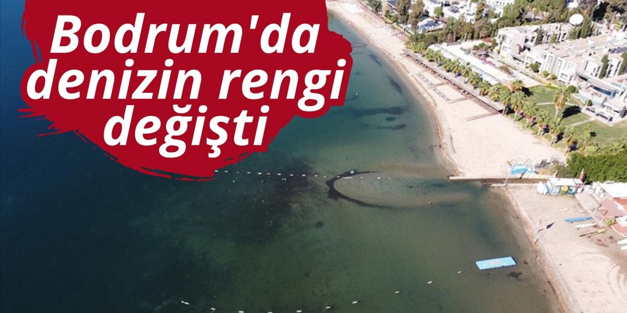 Bodrum'da denizin rengi değişti