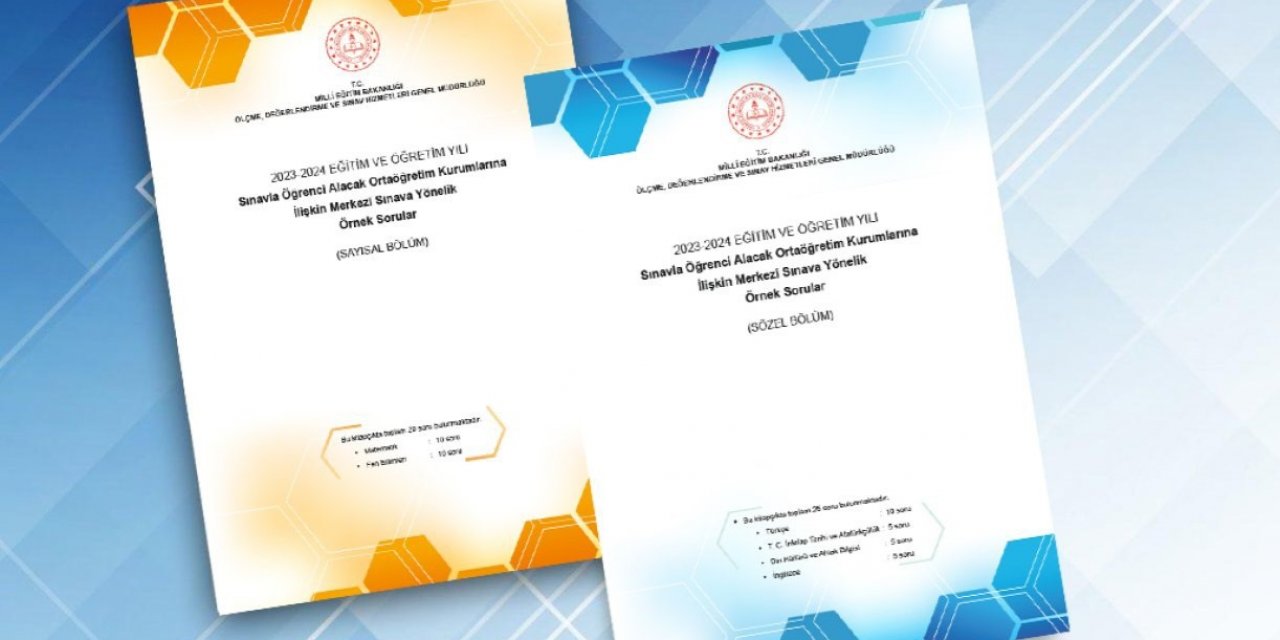 LGS merkezi sınavına yönelik örnek sorular yayımlandı