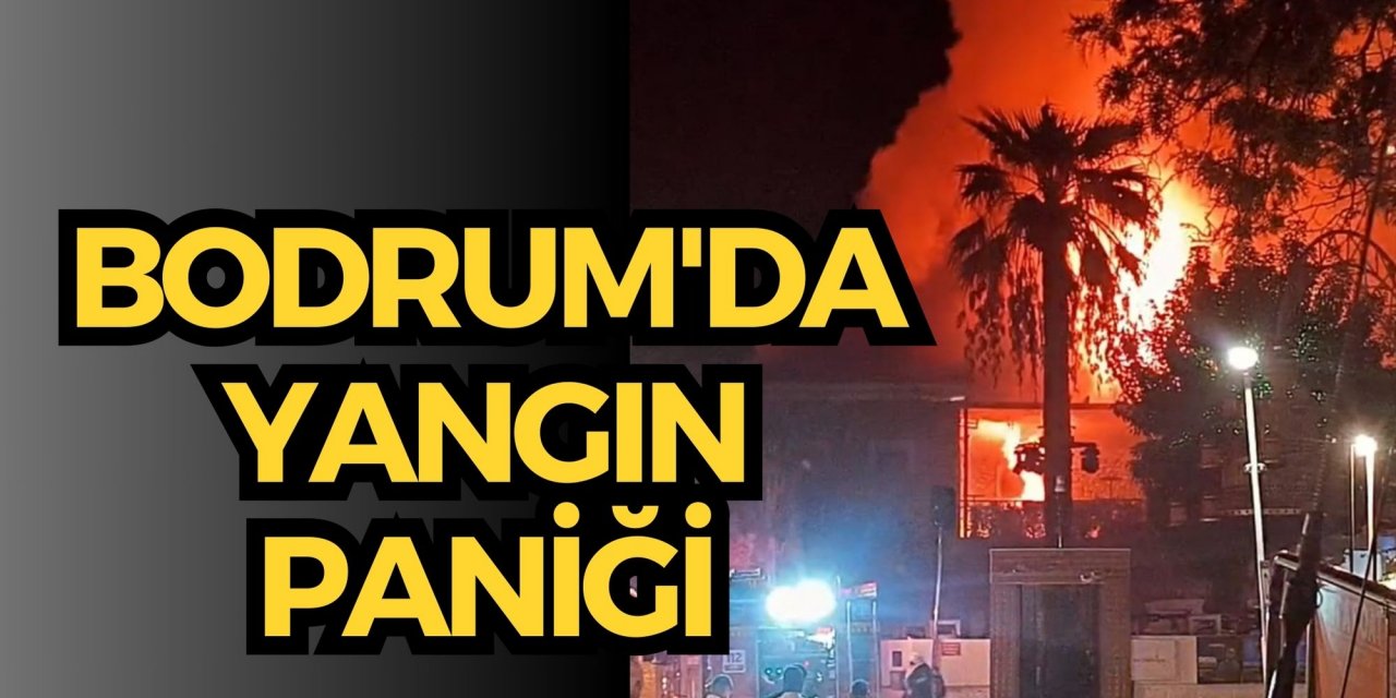 Bodrum'da yangın paniği
