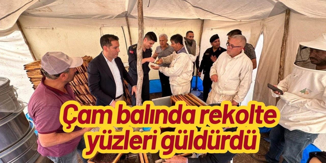 Muğla'da çam balında rekolte yüzleri güldürdü