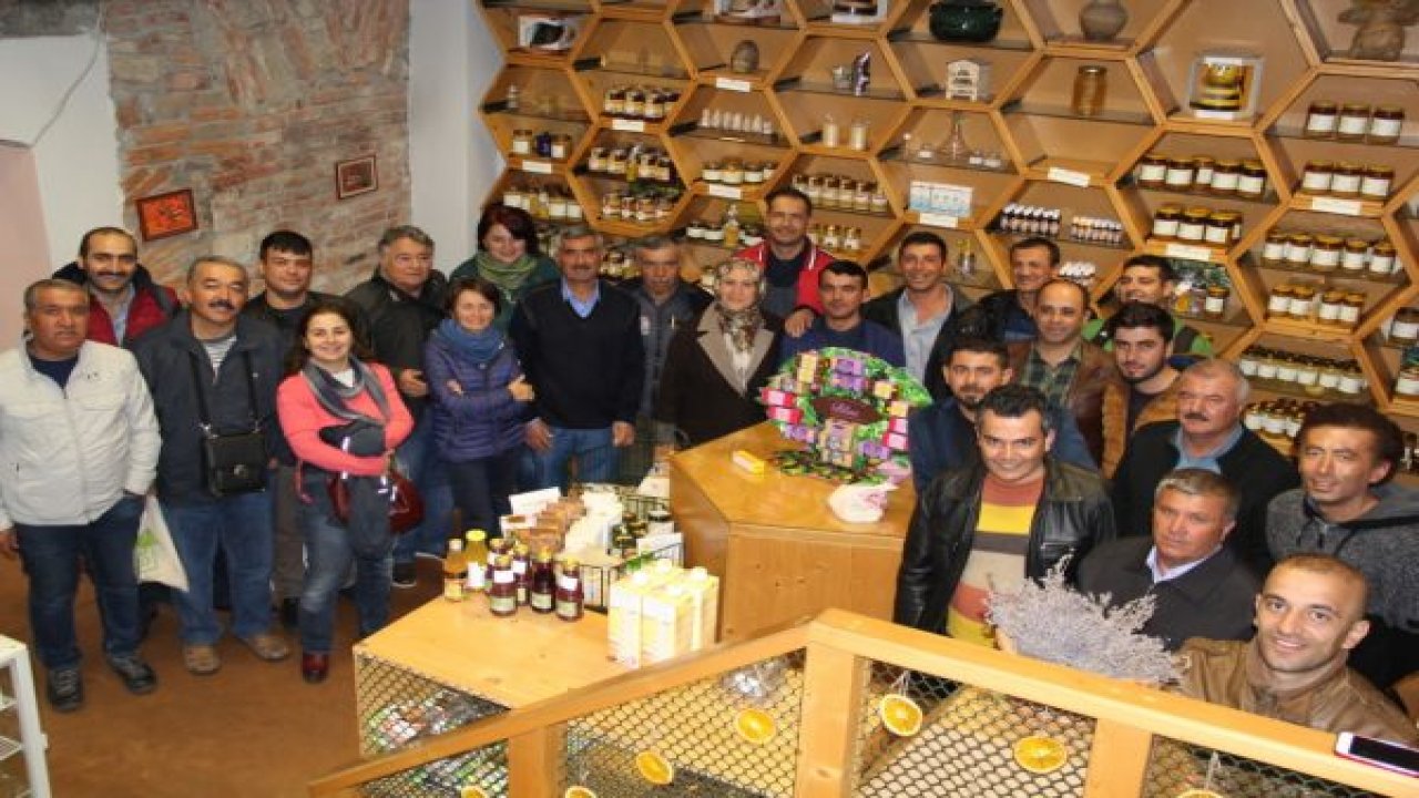 Romanya'da Apiterapi gezisi