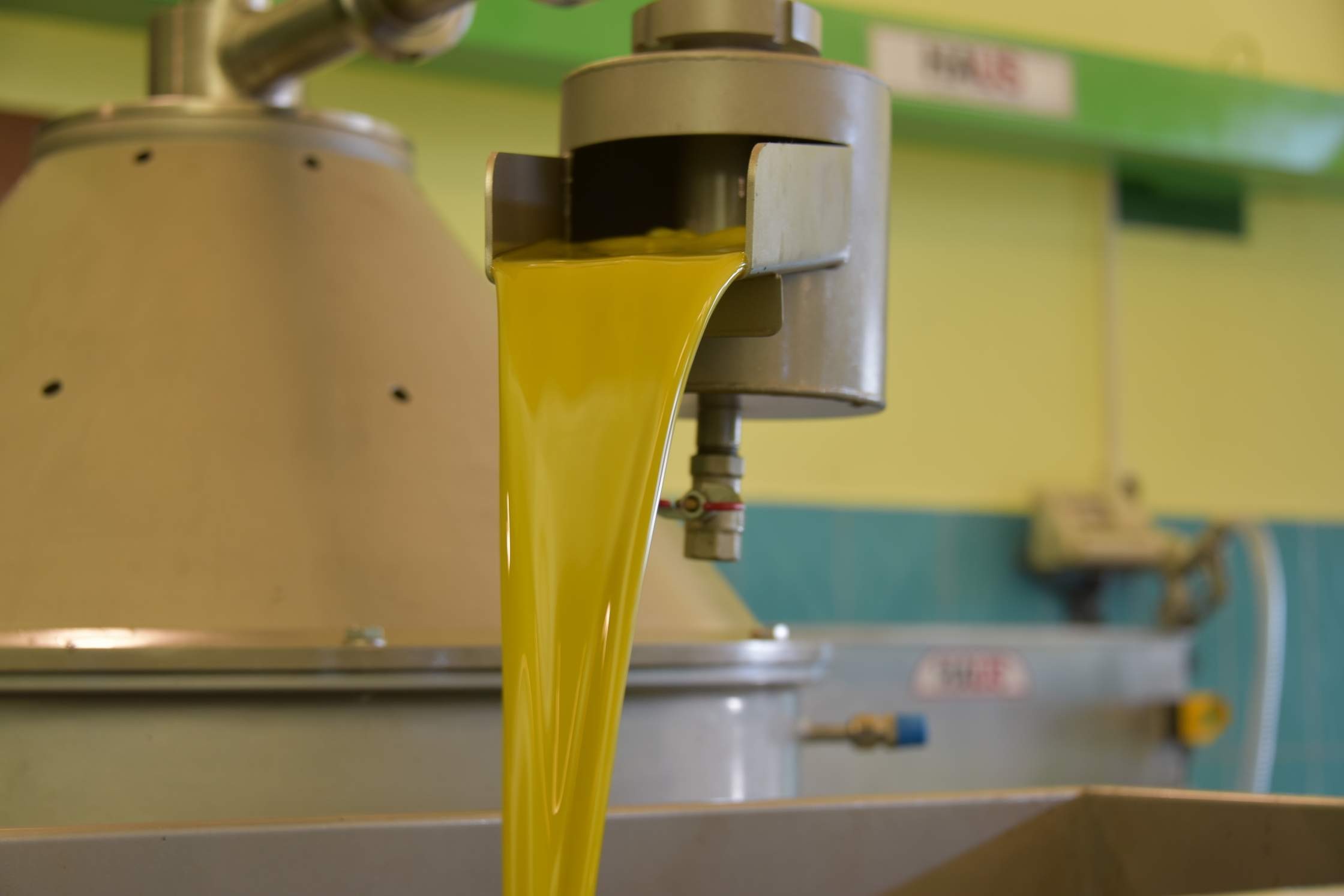 PAZARDA SATILAN ZEYTİNYAĞLARINA DİKKAT