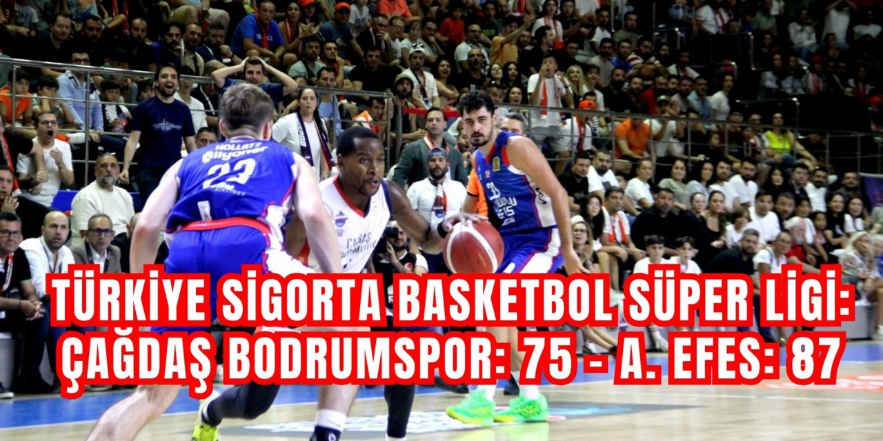 Türkiye Sigorta Basketbol Süper Ligi: Çağdaş Bodrumspor: 75 - A. Efes: 87