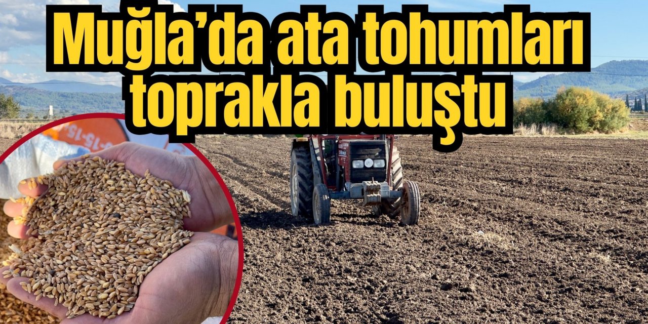Muğla’da ata tohumları toprakla buluştu