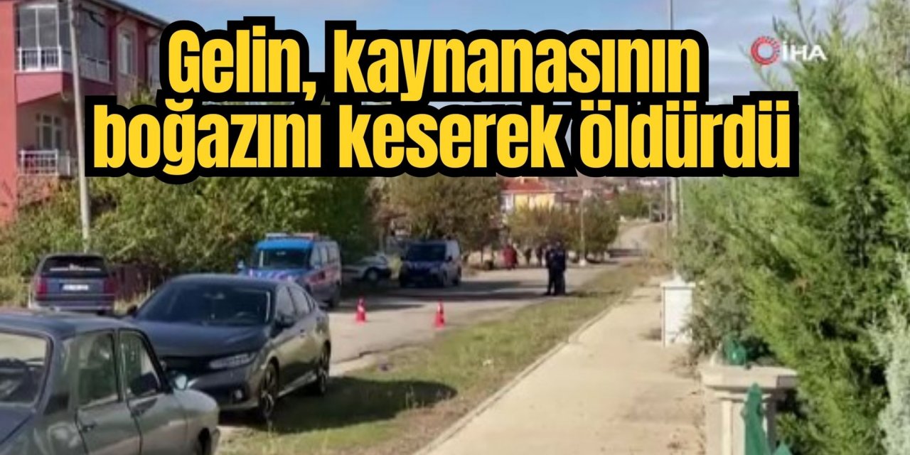 Gelin, kaynanasının boğazını keserek öldürdü