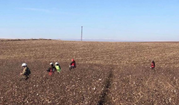 Alzheimer hastası sazlık alanda ölü bulundu