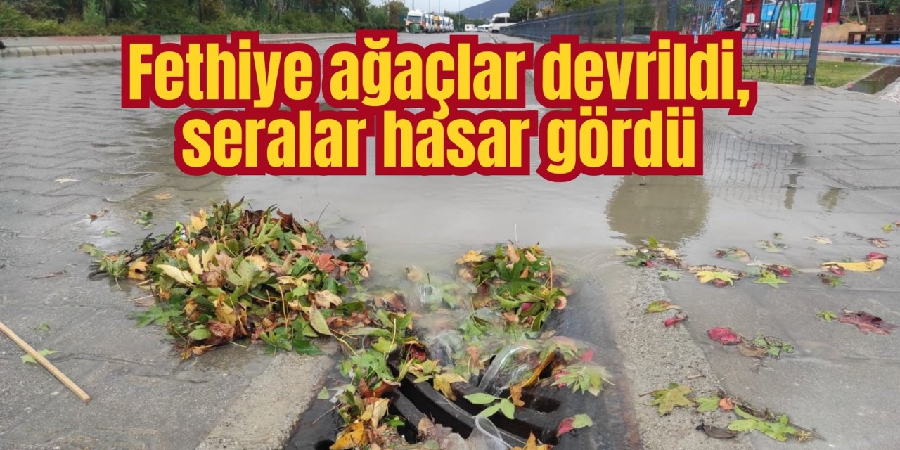 Fethiye ağaçlar devrildi, seralar hasar gördü