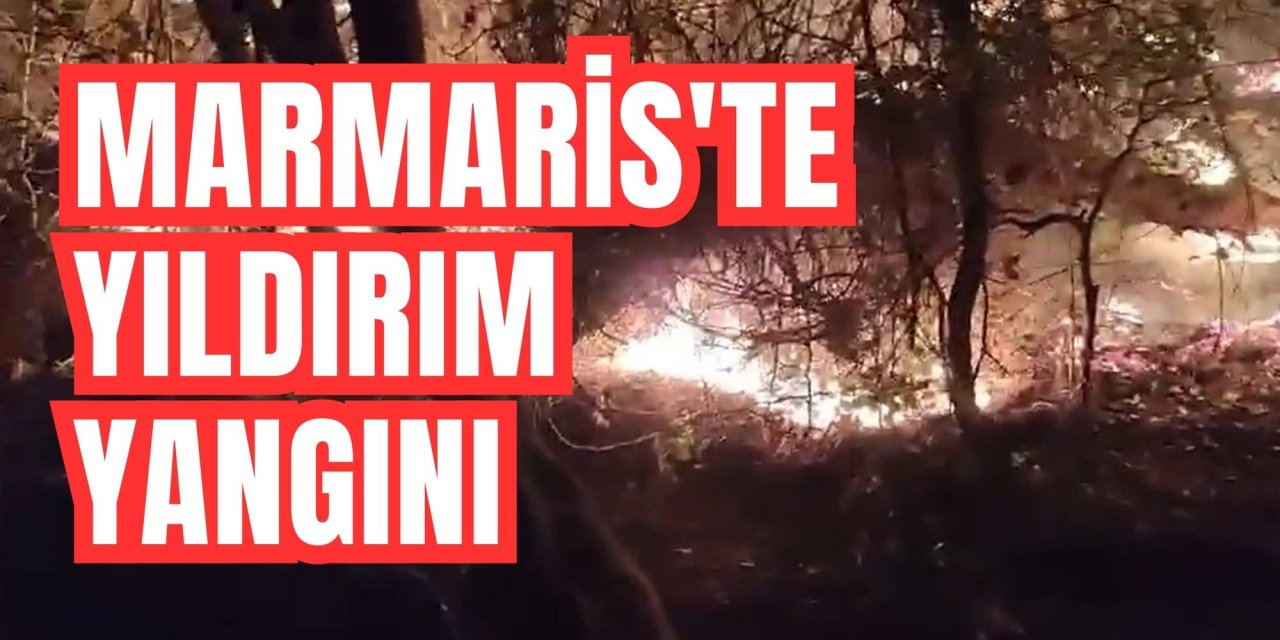 Marmaris'te yıldırım yangını