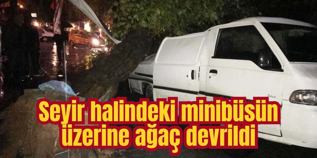 Muğla'da seyir halindeki minibüsün üzerine ağaç devrildi