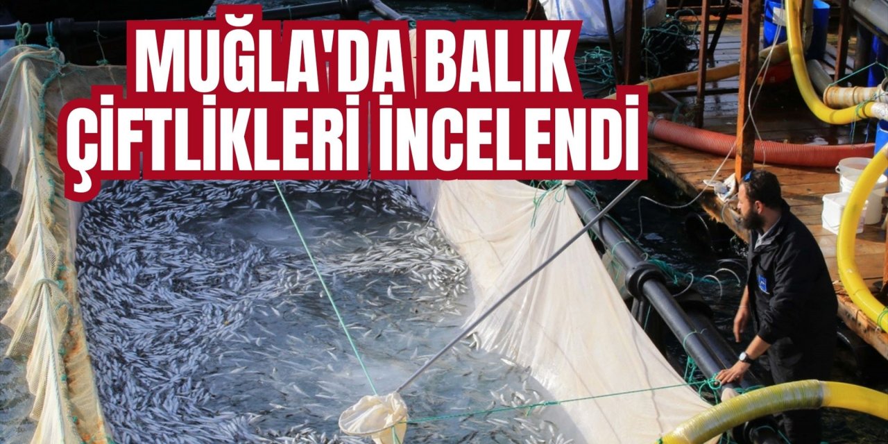 Muğla'da balık çiftlikleri incelendi