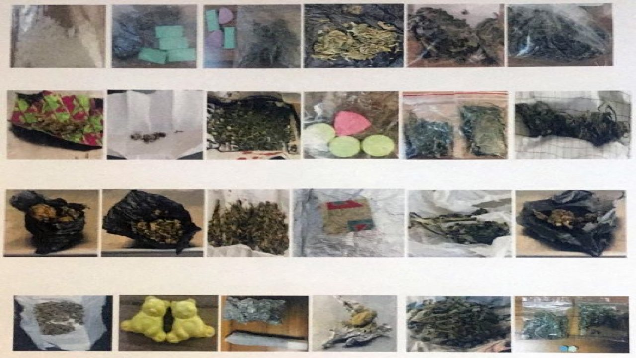 Dev uyuşturucu operasyonu