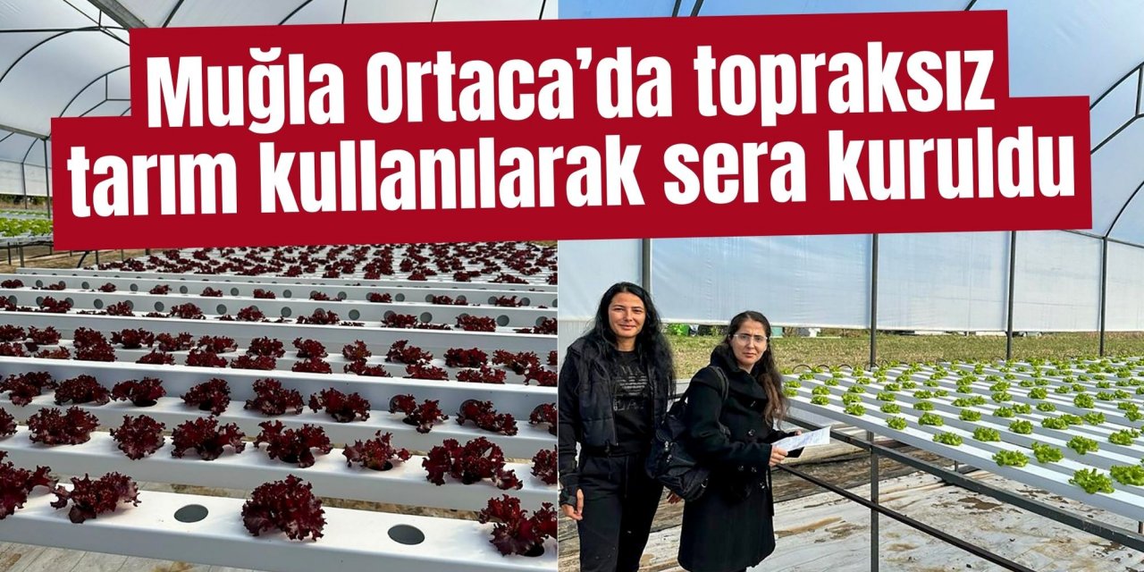 Muğla’da topraksız tarım kullanılarak sera kuruldu
