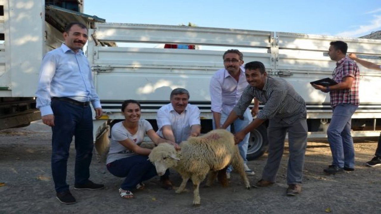 Genç çiftçilere hibe desteği