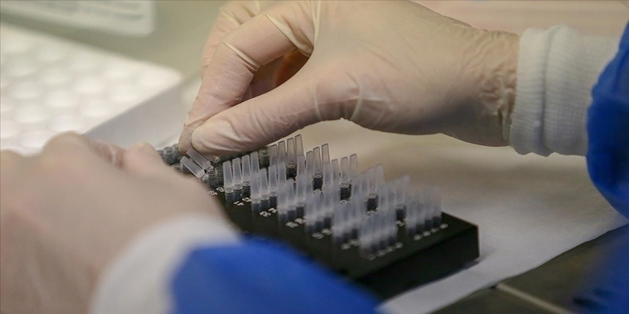 Genetik Araştırma Şirketi, yaklaşık 6,9 milyon kullanıcısının bilgilerinin çalındığını açıkladı