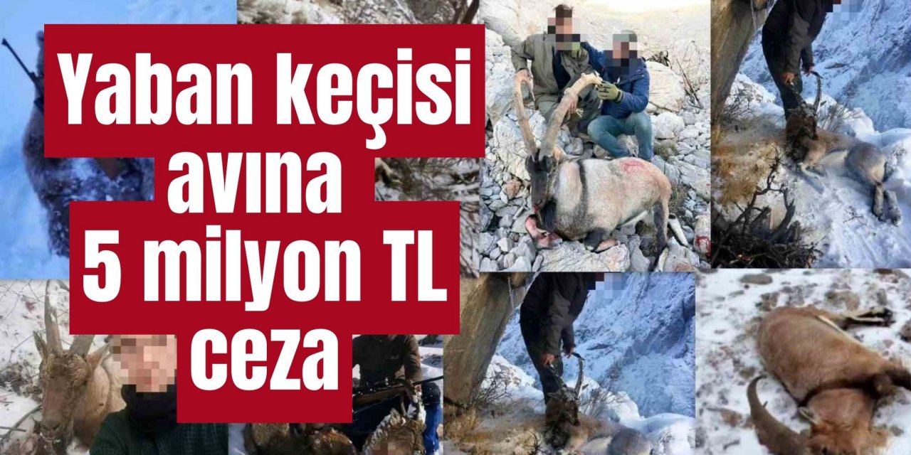 Yaban keçisi avına 5 milyon TL ceza
