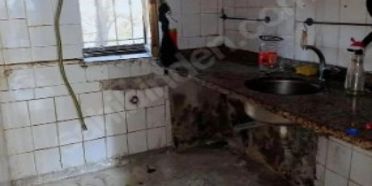 Harabe daireye istediği kira şoke etti