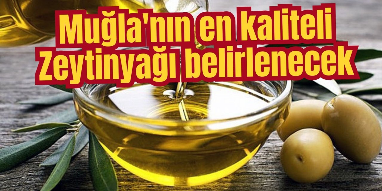 Muğla'nın en kaliteli Zeytinyağı belirlenecek