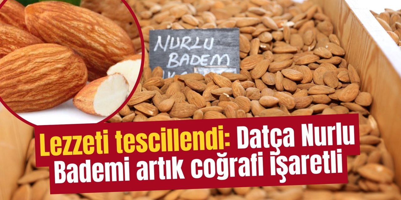 Lezzeti tescillendi: Datça Nurlu Bademi artık coğrafi işaretli