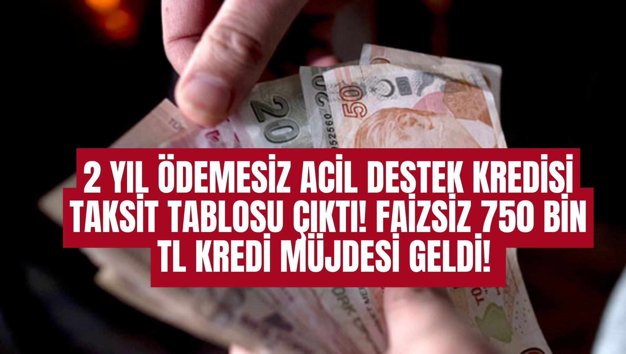 2 YIL ÖDEMESİZ ACİL DESTEK KREDİSİ TAKSİT TABLOSU ÇIKTI! FAİZSİZ 750 BİN TL KREDİ MÜJDESİ GELDİ!