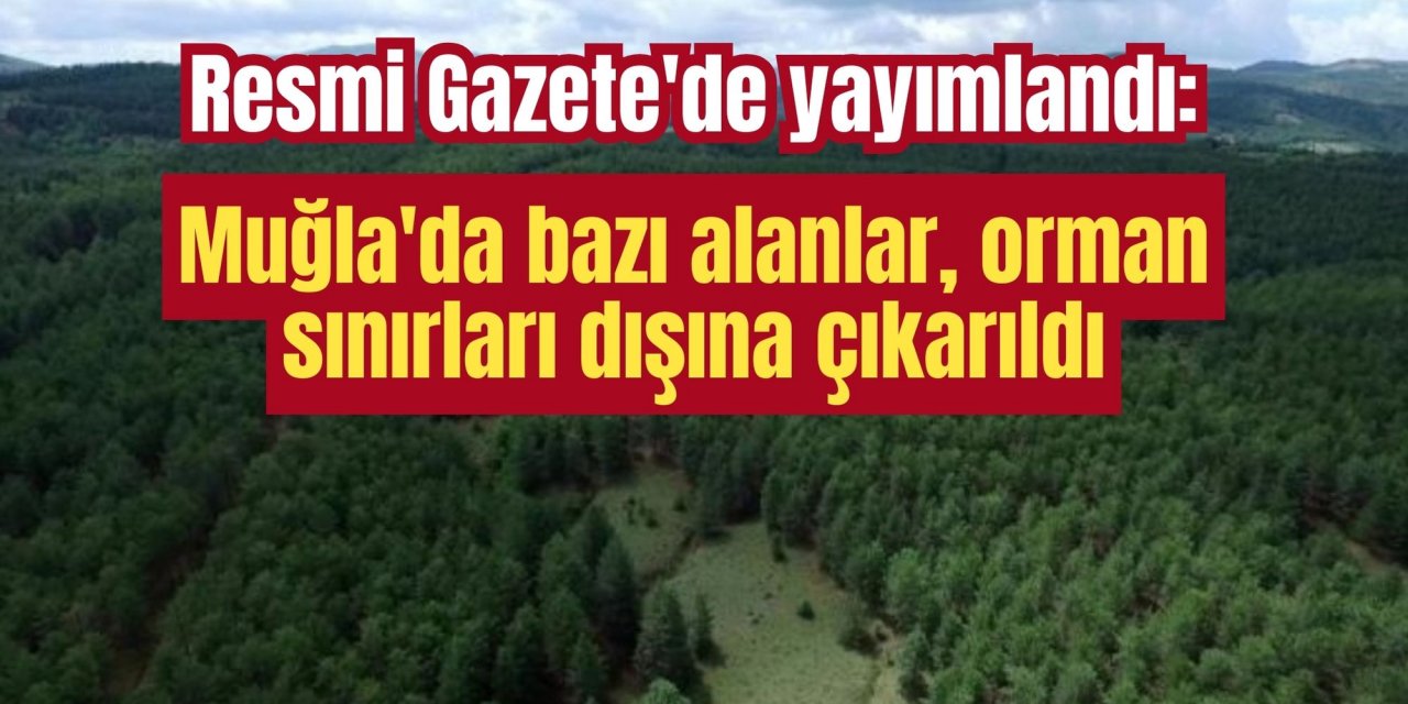 Resmi Gazete'de yayınlandı: Muğla'da bazı alanlar, orman sınırları dışına çıkarıldı