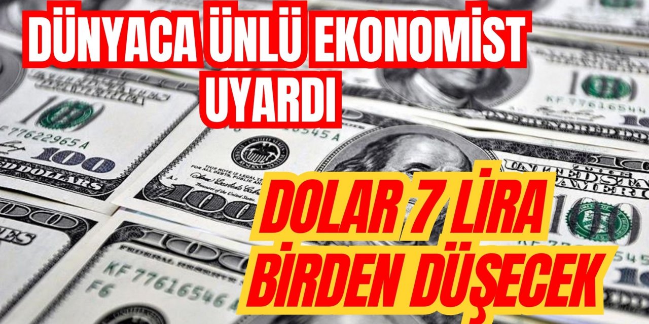 Dünyaca ünlü ekonomist uyardı: Dolar 7 lira birden düşecek