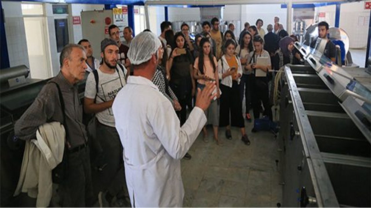 Zeytin hasadı için her şey hazır