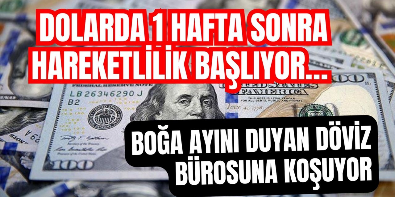 Dolarda 1 hafta sonra hareketlilik başlıyor… Boğa ayını duyan döviz bürosuna koşuyor