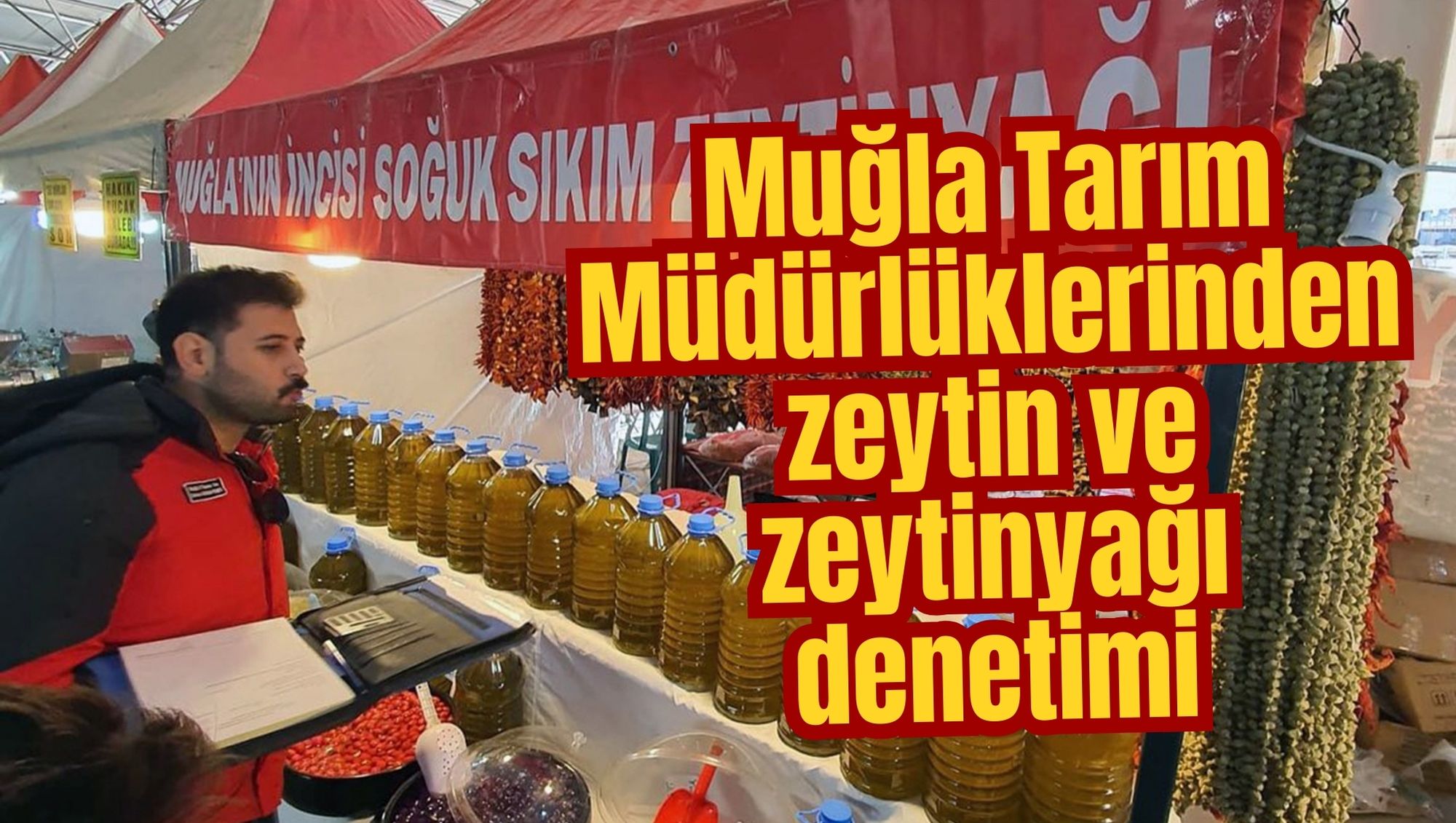 Muğla Tarım Müdürlüklerinden zeytin ve zeytinyağı denetimi
