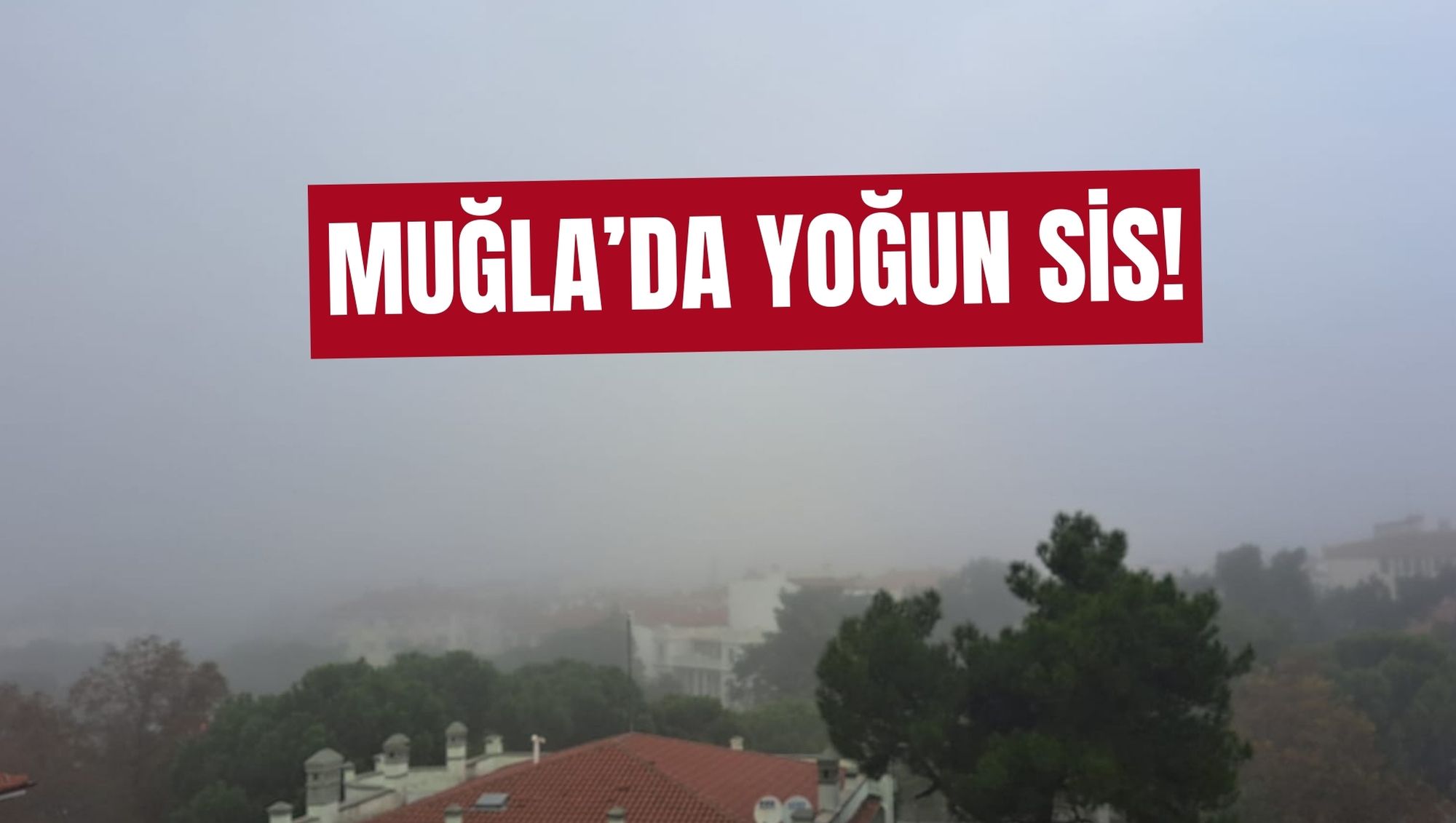 MUĞLA'DA SİS OLUŞTU