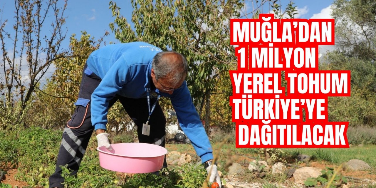 Muğla’dan 1 milyon yerel tohum Türkiye’ye dağıtılacak