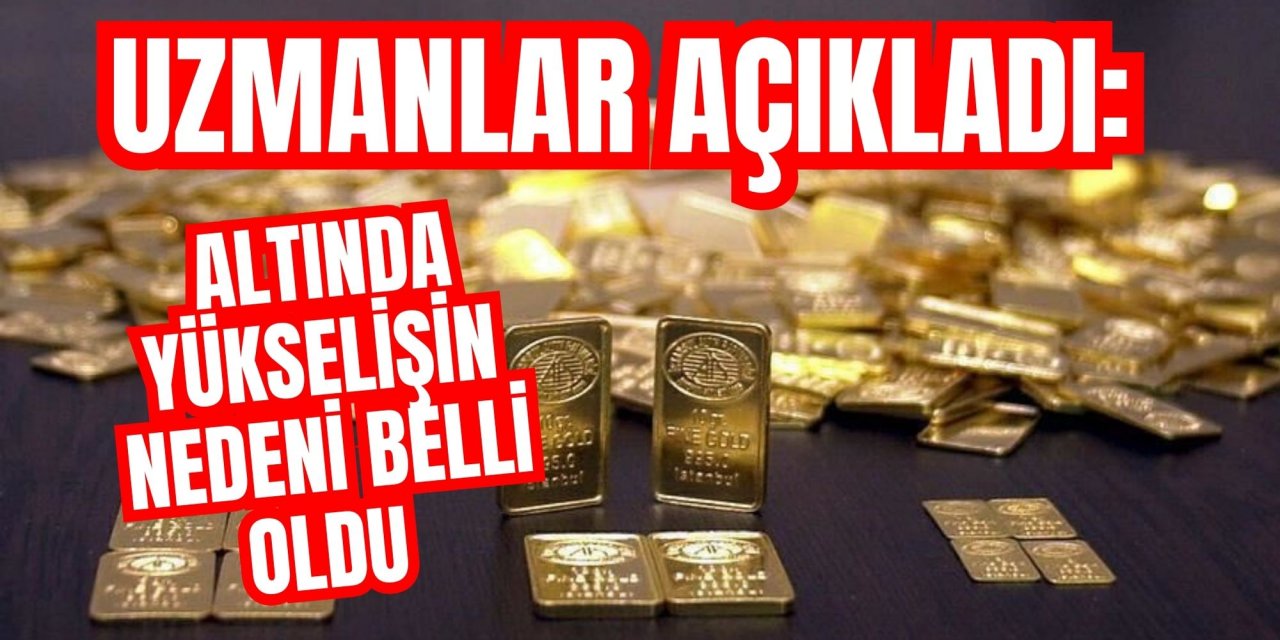 Uzmanlar açıkladı: Altında yükselişin nedeni belli oldu