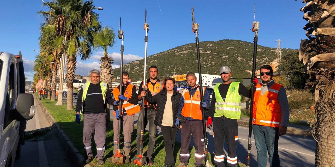Bodrum’da yeşil alan düzenleme çalışmaları yapılıyor