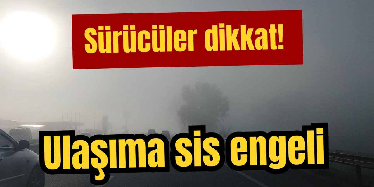 Sürücüler dikkat! Ulaşıma sis engeli