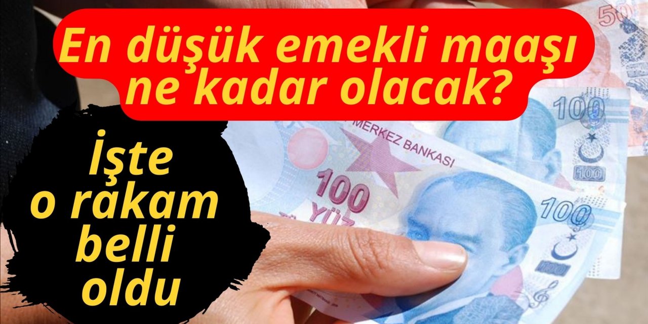 En düşük emekli maaşı ne kadar olacak? İşte o rakam belli oldu