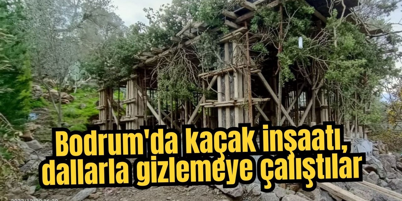 Bodrum'da kaçak inşaatı, dallarla gizlemeye çalıştılar