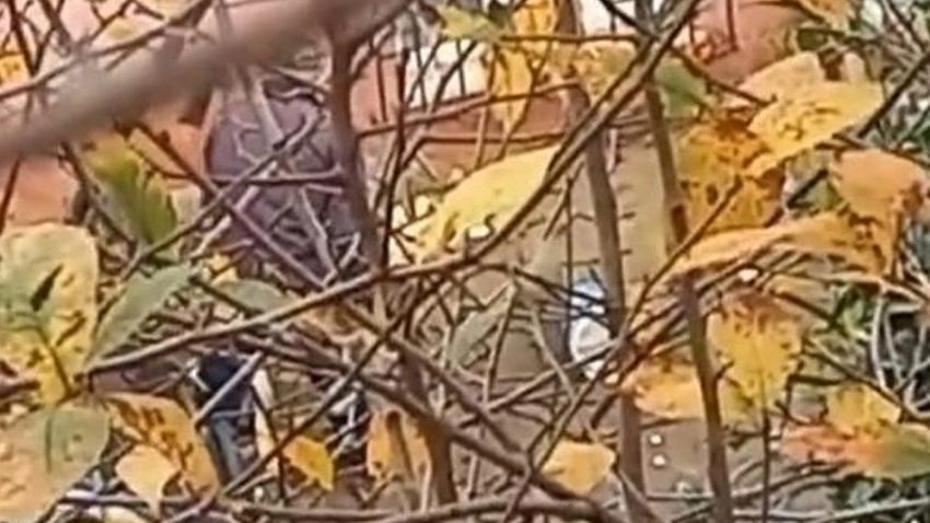 Sokak köpeğine korkunç işkence!