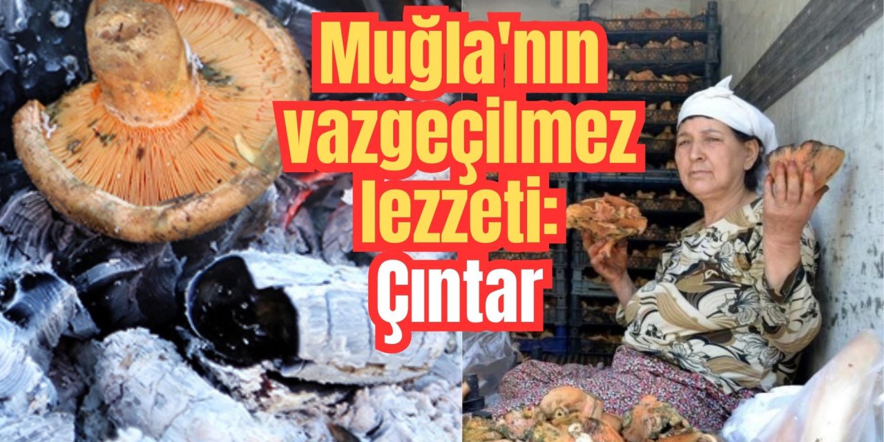 Muğla'nın vazgeçilmez lezzeti: Çıntar