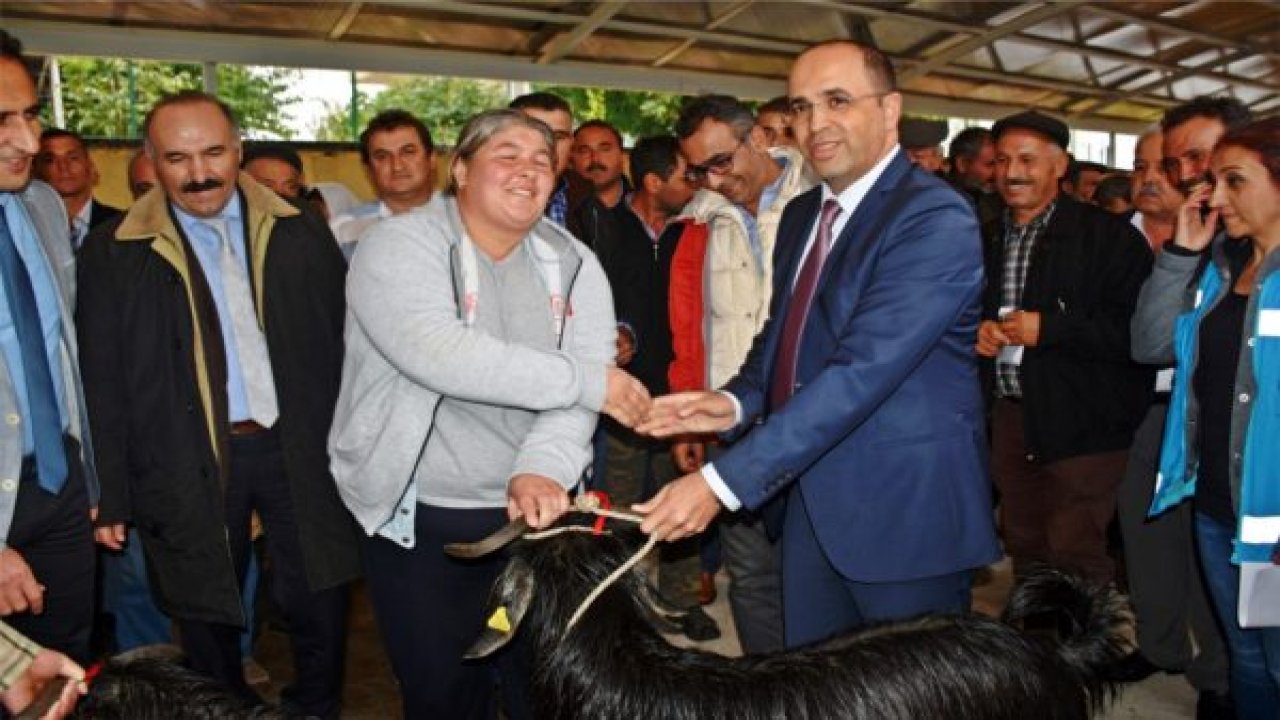 Oğlaklar sahiplerini buldu