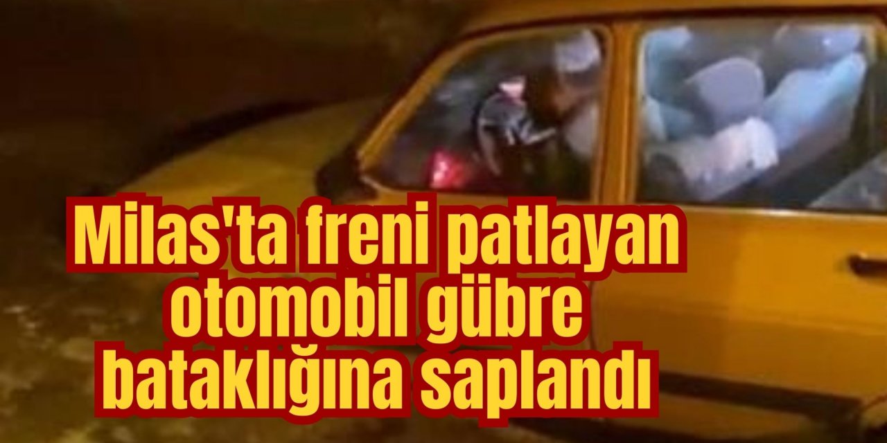 Milas'ta freni patlayan otomobil gübre bataklığına saplandı